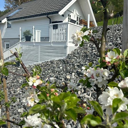 Fjord Road Apartment Hjelmeland Exterior foto